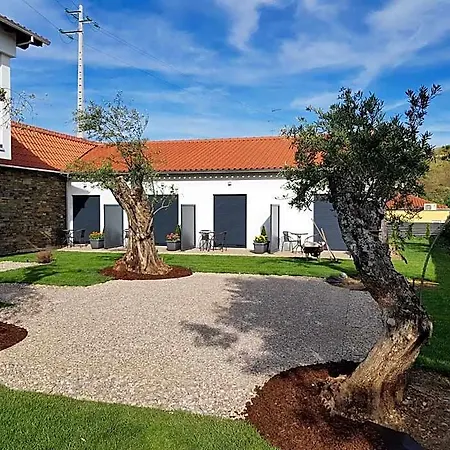 O Abel Rural