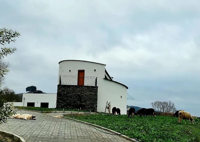 O Abel Rural * 바라간카